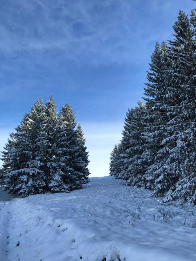 Ferienwohnung Morgentau Am Rande Der Wildnis Sibratsgfall Экстерьер фото