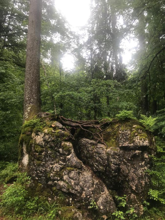Ferienwohnung Morgentau Am Rande Der Wildnis Sibratsgfall Экстерьер фото