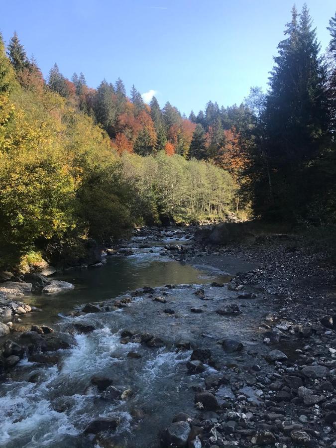 Ferienwohnung Morgentau Am Rande Der Wildnis Sibratsgfall Экстерьер фото
